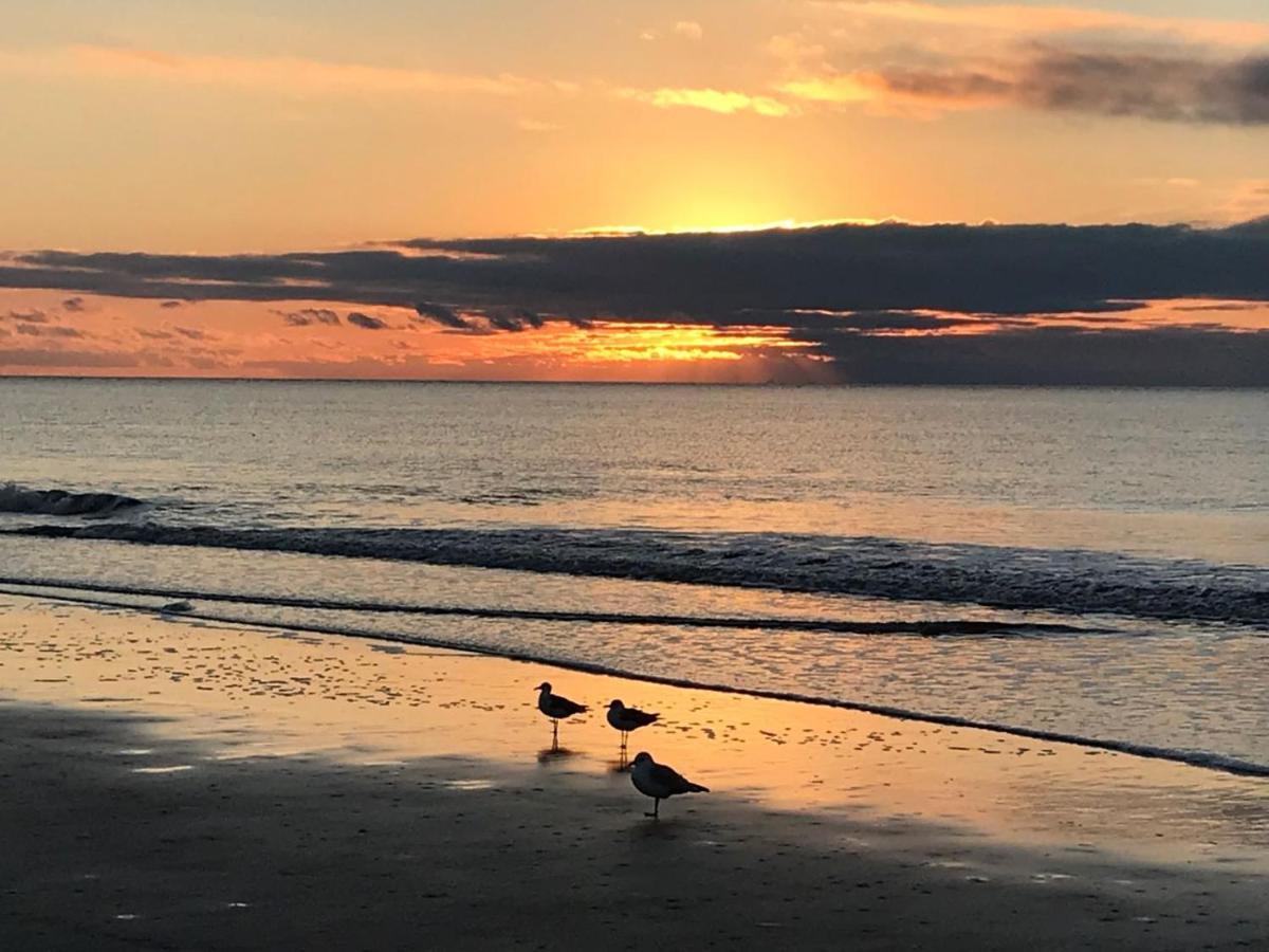 Beachfront Condo With Ocean View Hilton Head Island Exterior foto